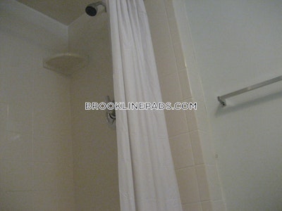 Brookline 0 Bed 1 Bath BROOKLINE- WASHINGTON SQUARE $2,100  Washington Square - $2,100