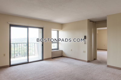 Brookline 1 Bed 1 Bath  Boston University - $2,990