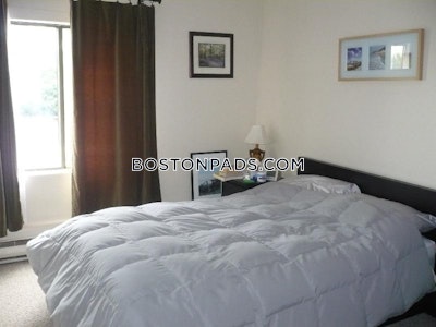 East Boston 2 Bed 1.5 Bath BOSTON Boston - $2,950 50% Fee