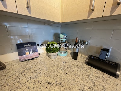 Chinatown 1 Bed 1 Bath BOSTON Boston - $3,354