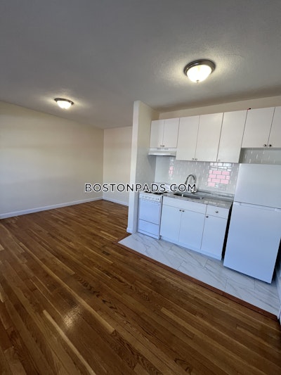 Brighton 2 Beds 1 Bath Boston - $2,500