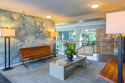 Cambridge Apartment for rent 2 Bedrooms 1 Bath  Kendall Square - $3,920