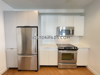 Downtown Apartment for rent 1 Bedroom 1 Bath Boston - $4,594