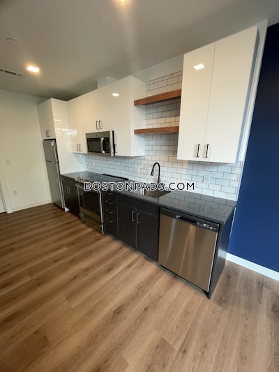 Allston Apartment for rent 1 Bedroom 1 Bath Boston - $3,610 No Fee