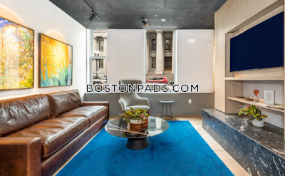 Downtown 1 bedroom 1 baths Luxury in BOSTON Boston - $3,097