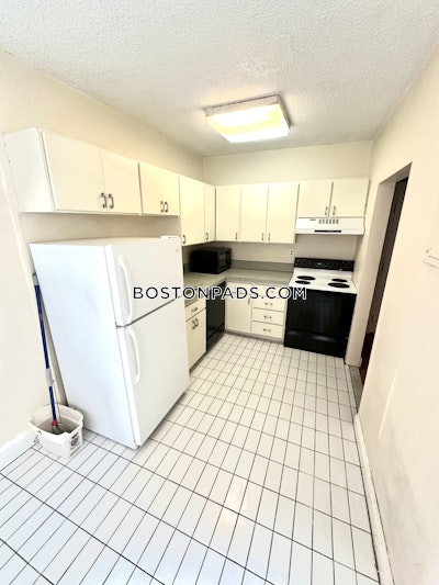 Brighton Apartment for rent 1 Bedroom 1 Bath Boston - $2,100